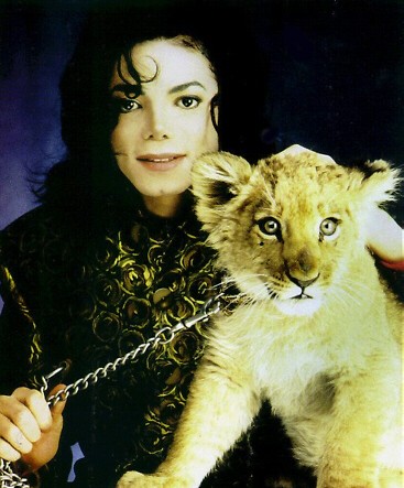 Michael Jackson: pic #11074