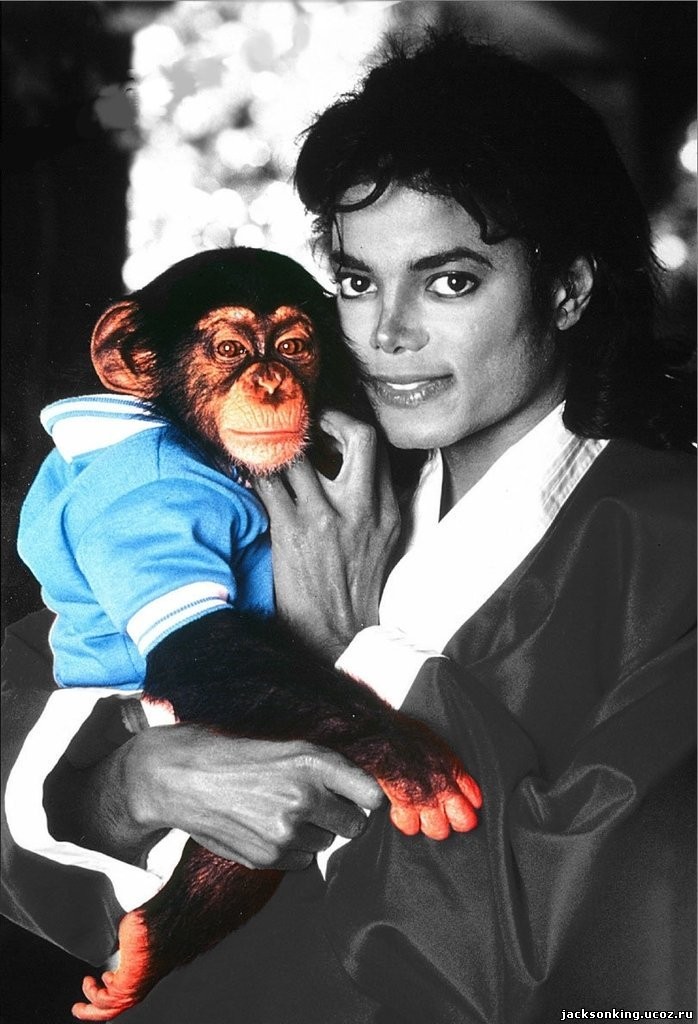 Michael Jackson: pic #171850