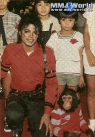 Michael Jackson pic #168489