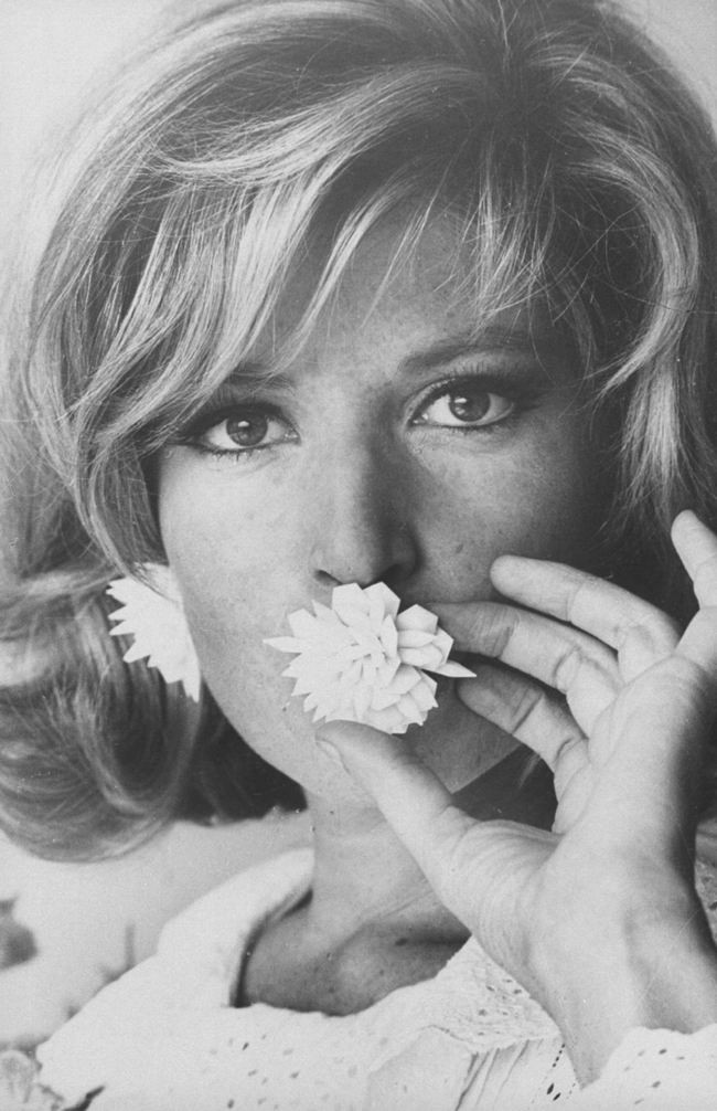 Monica Vitti: pic #480525