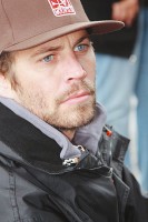 Paul Walker photo #