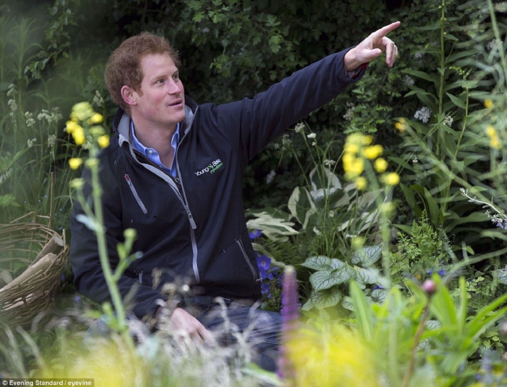 Prince Harry of Wales: pic #775937