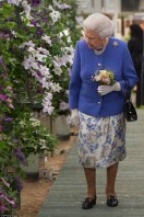 Queen Elizabeth ll  photo #