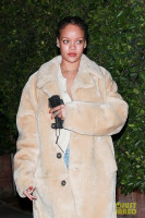 photo 27 in Rihanna gallery [id1239968] 2020-11-17