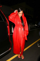 photo 10 in Rihanna gallery [id1297849] 2022-02-21