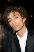 Robert Sheehan photo #