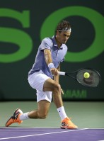 photo 24 in Federer gallery [id685185] 2014-04-02
