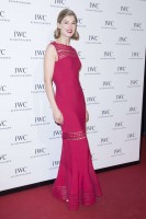 photo 15 in Rosamund Pike gallery [id828582] 2016-01-24