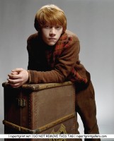 photo 8 in Rupert Grint gallery [id141034] 2009-03-20