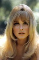 Sharon Tate photo #