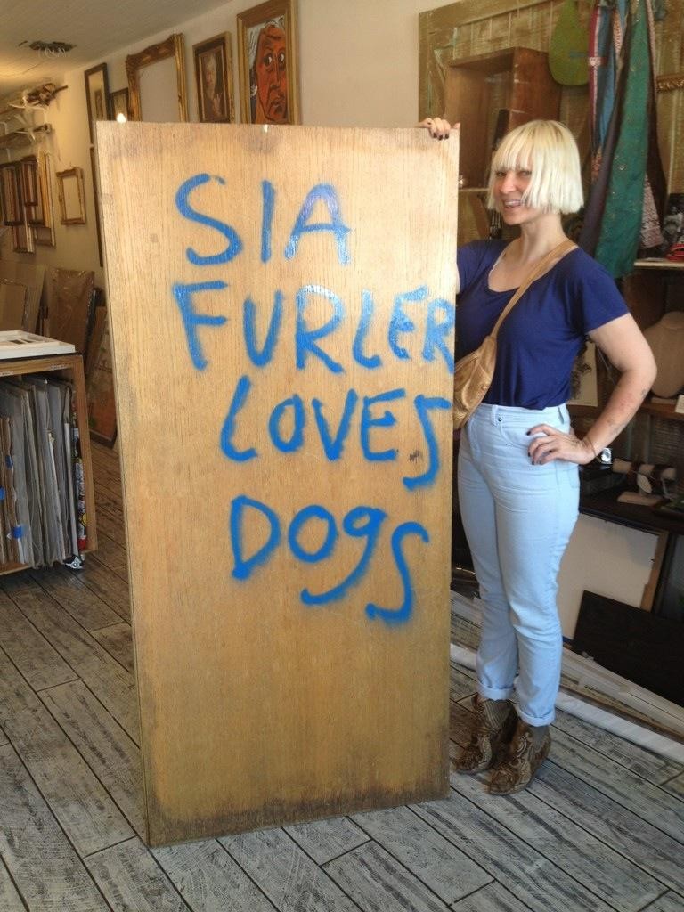 Sia Furler : pic #557867