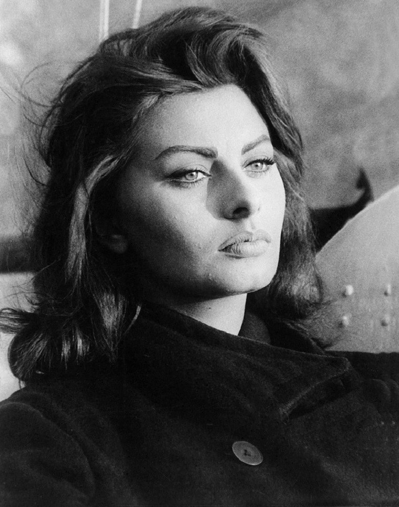 Sophia Loren: pic #632351