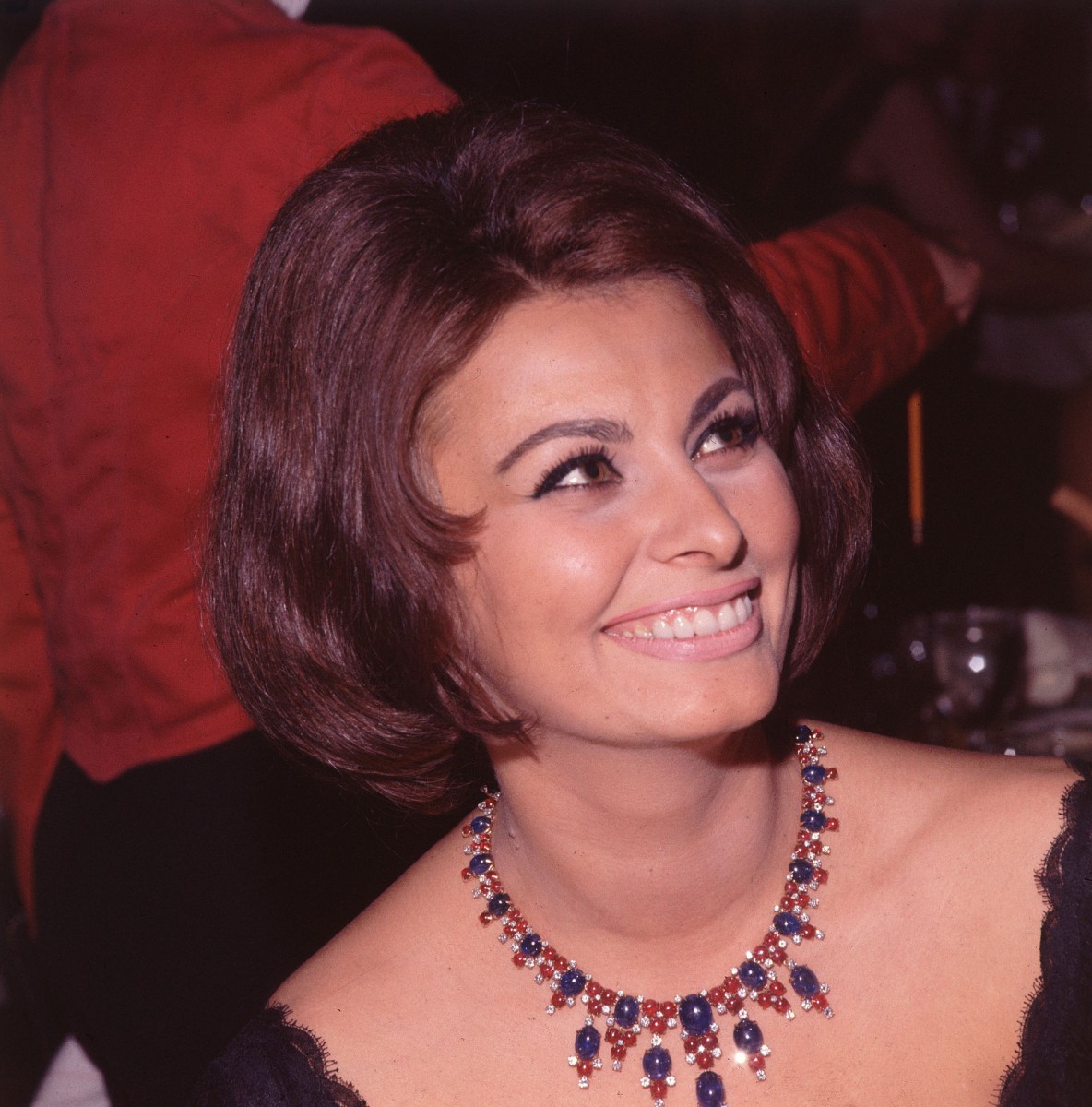 Sophia Loren: pic #382449