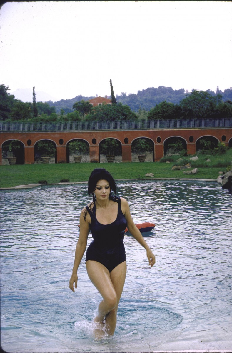 Sophia Loren: pic #358054