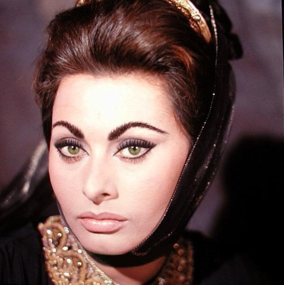 Sophia Loren: pic #150284