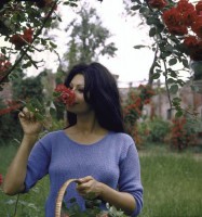 photo 12 in Sophia Loren gallery [id150007] 2009-04-24
