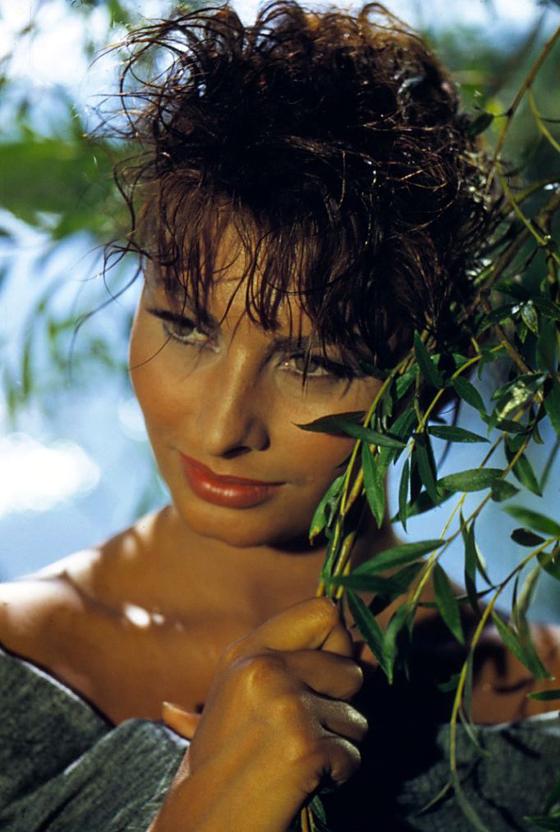 Sophia Loren: pic #79515