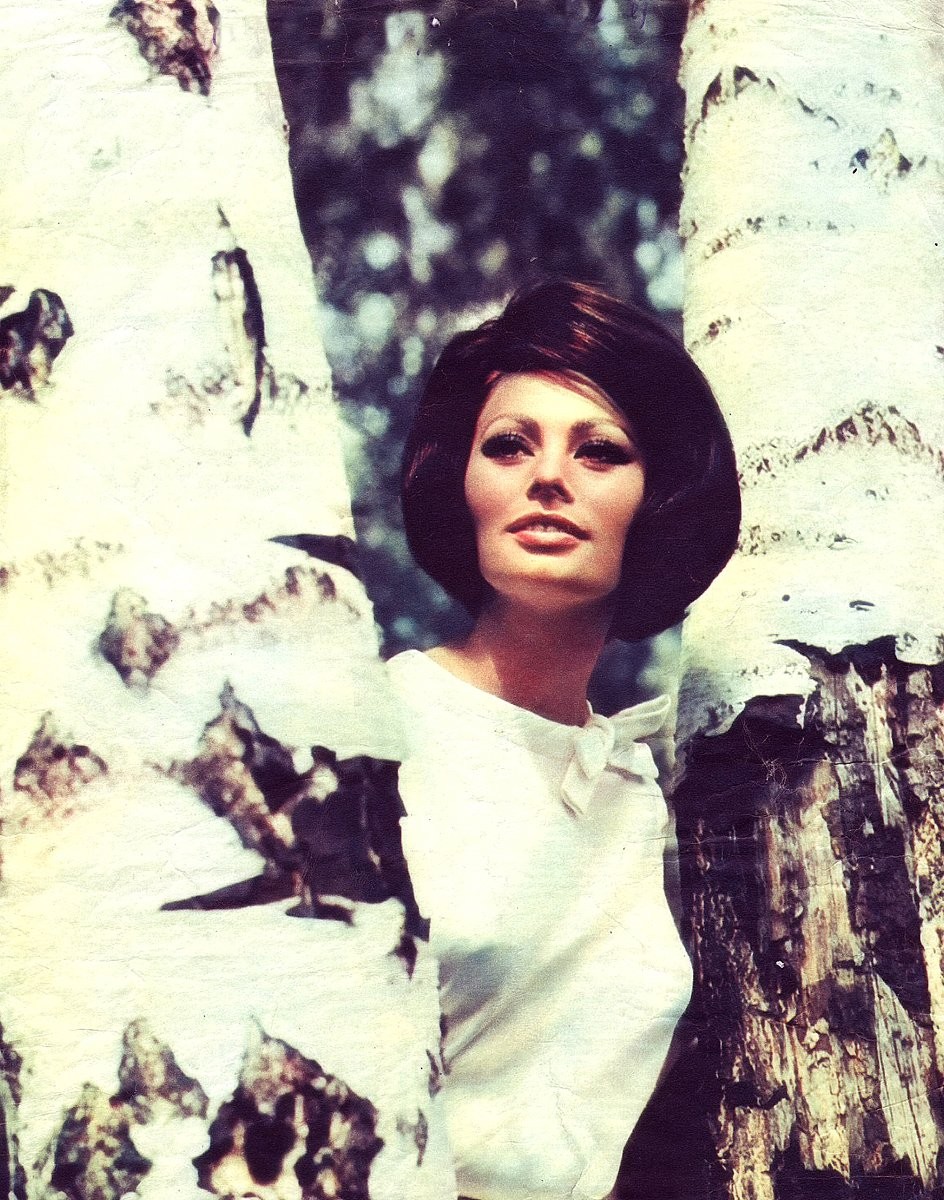 Sophia Loren: pic #384174