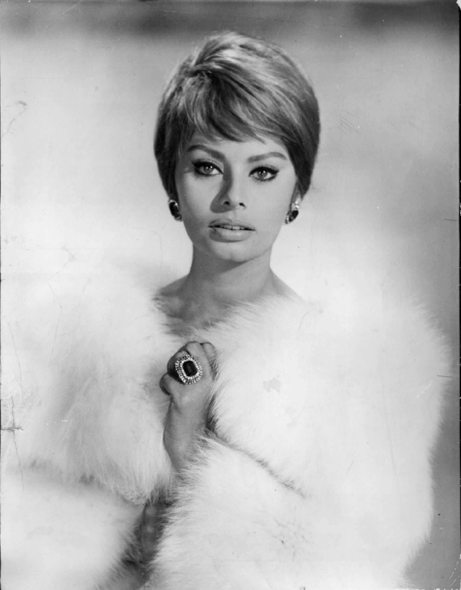 Sophia Loren: pic #381799