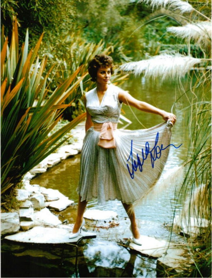 Sophia Loren: pic #363821