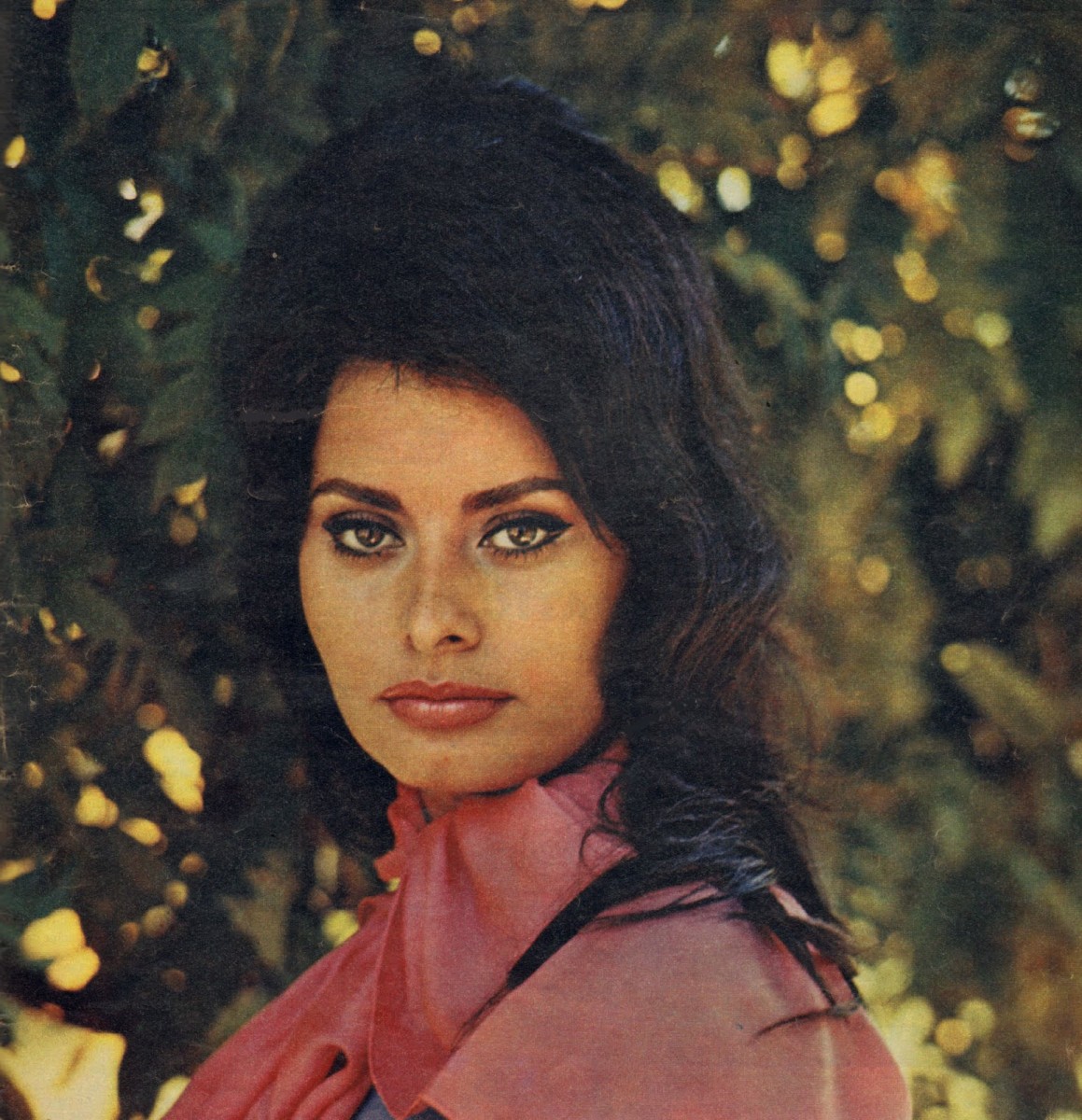 Sophia Loren: pic #870080