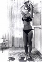 photo 15 in Sophia Loren gallery [id51580] 0000-00-00