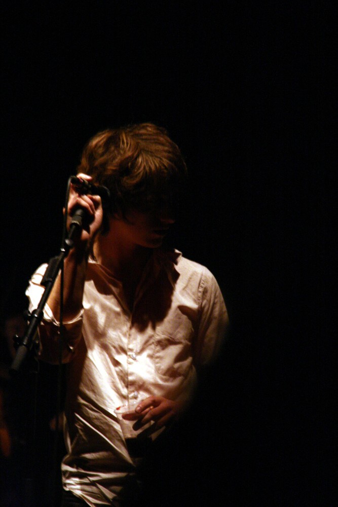 The Last Shadow Puppets: pic #653097