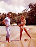 Ursula Andress photo #