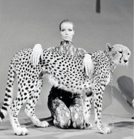 Veruschka von Lendorff photo #