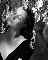 Vivien Leigh photo #