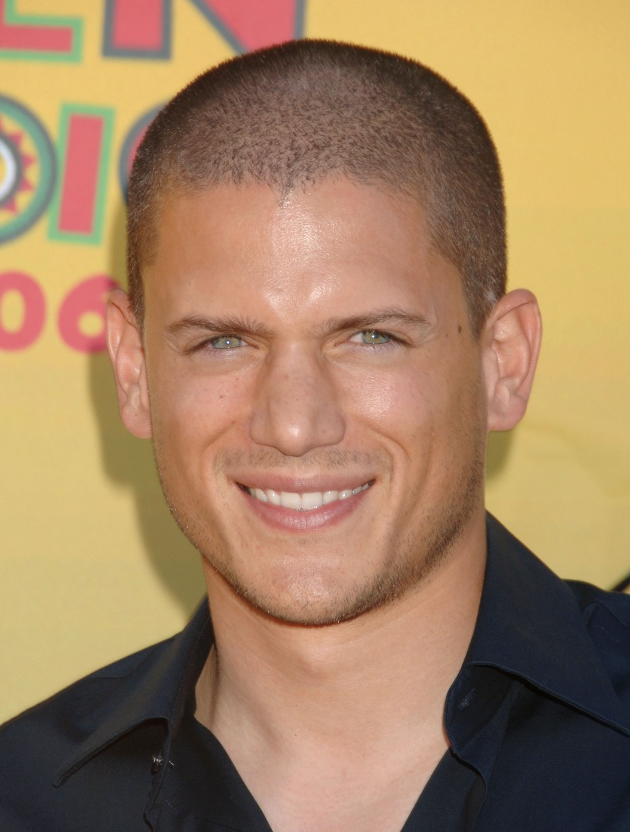 Wentworth Miller: pic #63481