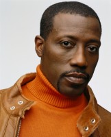 photo 3 in Wesley Snipes gallery [id276052] 2010-08-09