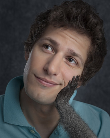 Photos of Andy Samberg