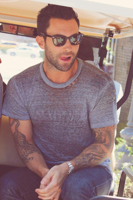 Adam Levine pic #534648
