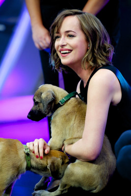 Dakota Johnson pic #783395