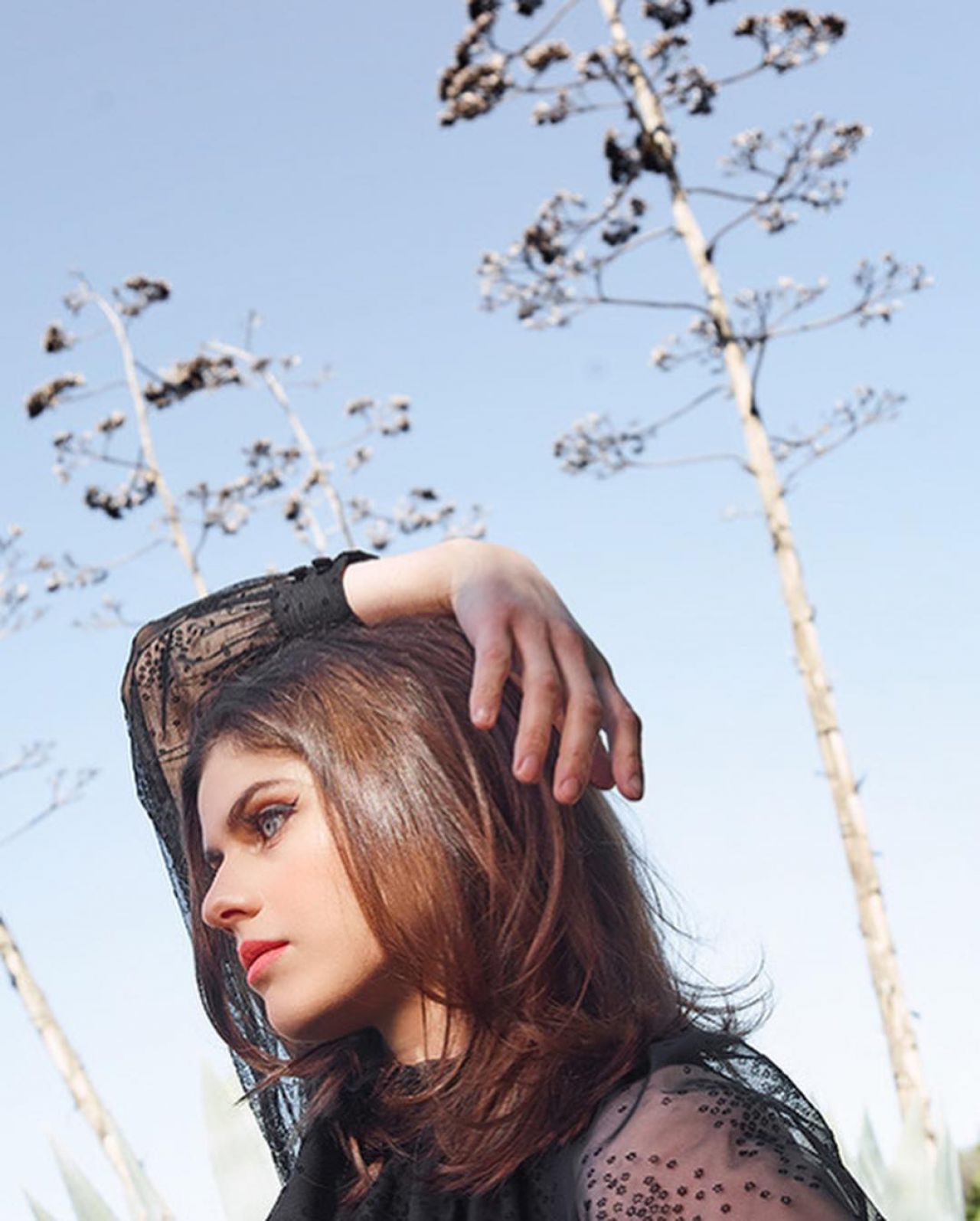 Alexandra Daddario photo 588 of 629 pics, wallpaper - photo #1116484