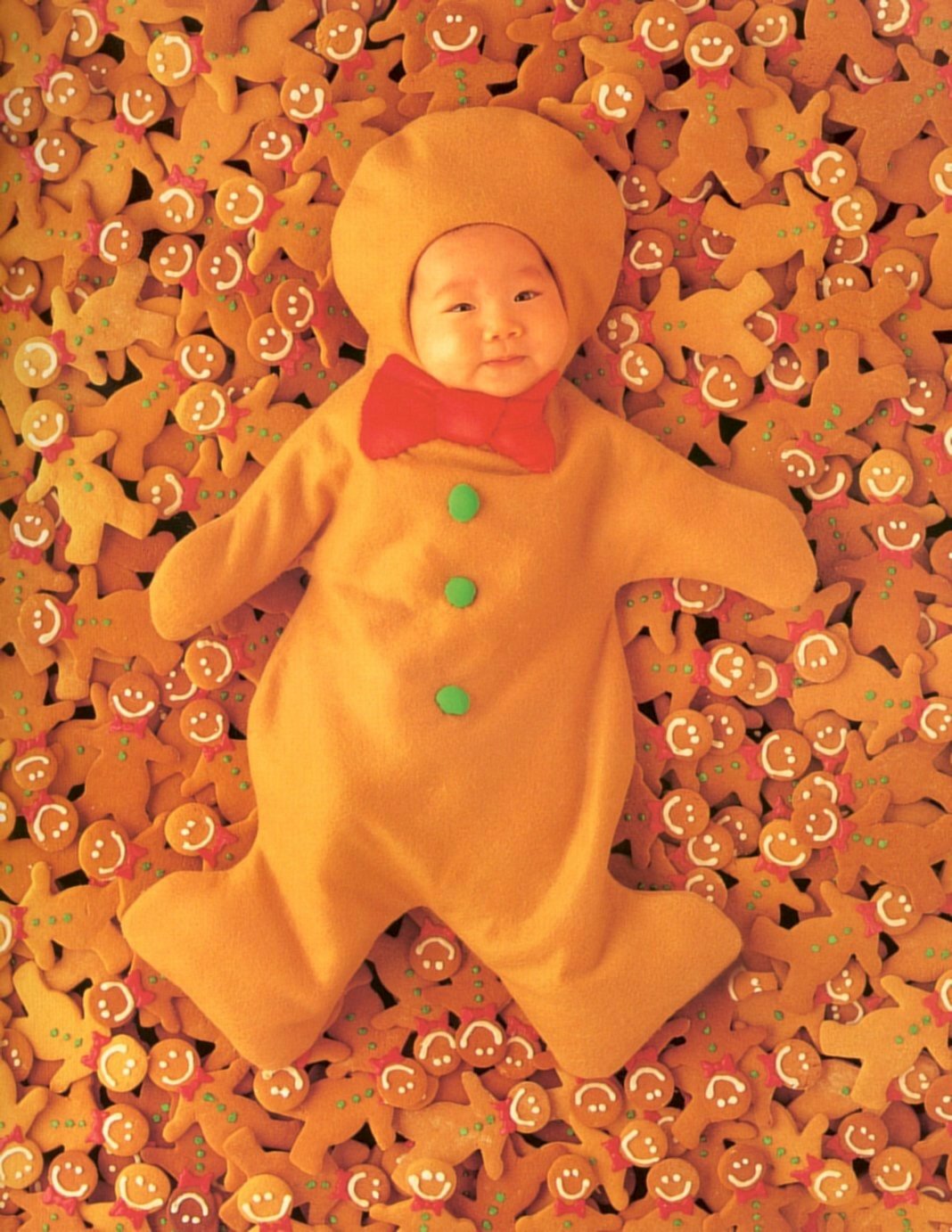 Anne Geddes photo 33 of 39 pics, wallpaper photo 11570 ThePlace2
