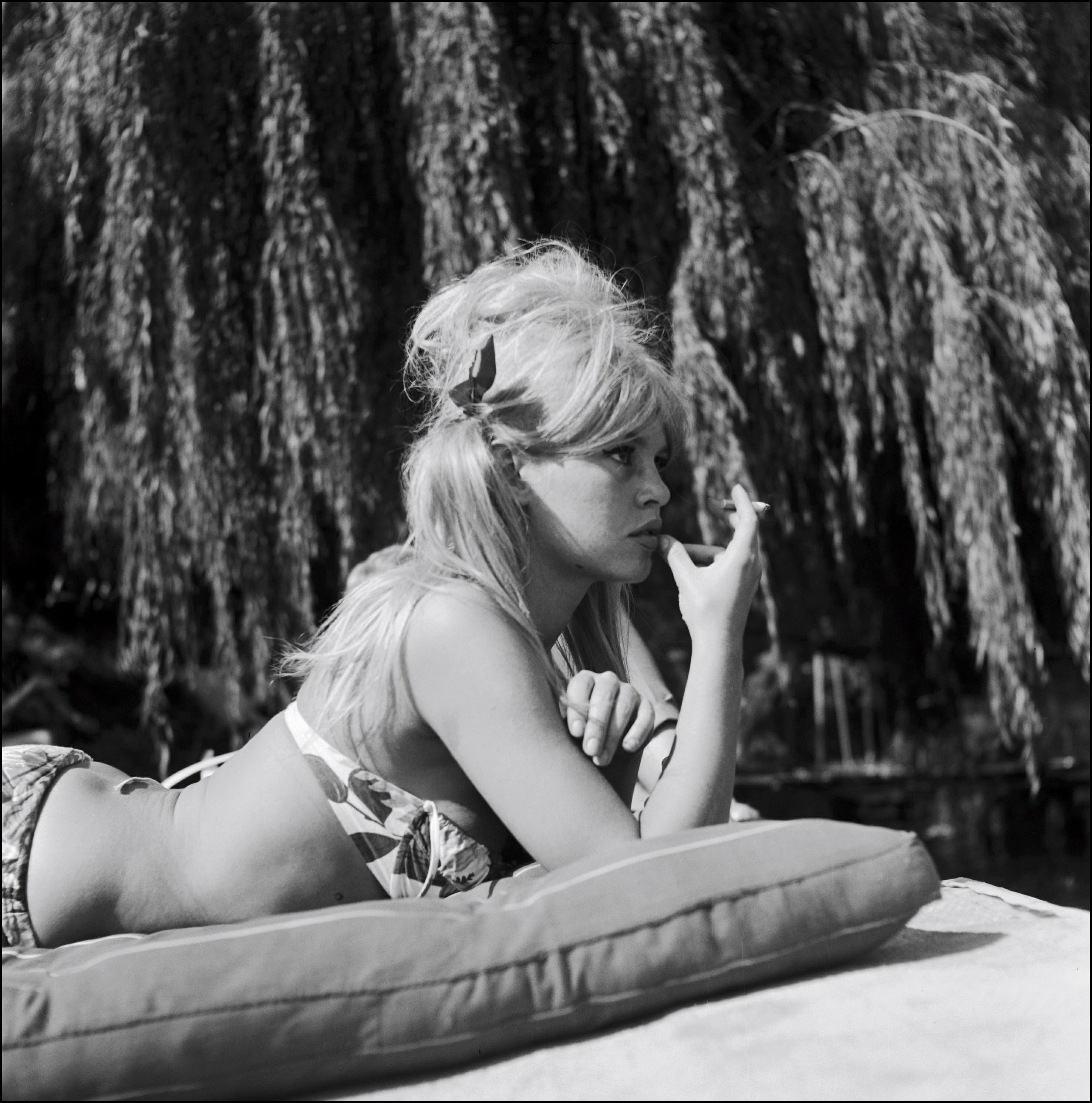 Brigitte bardot recent photos