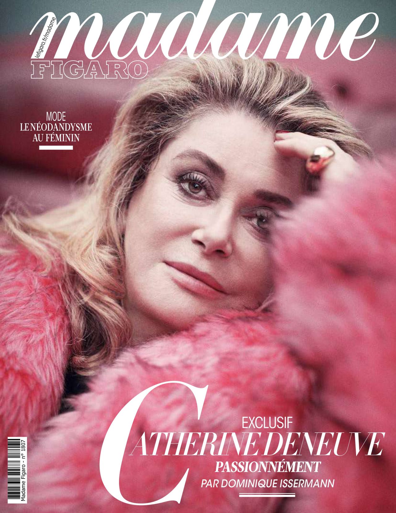 Catherine deneuve photos