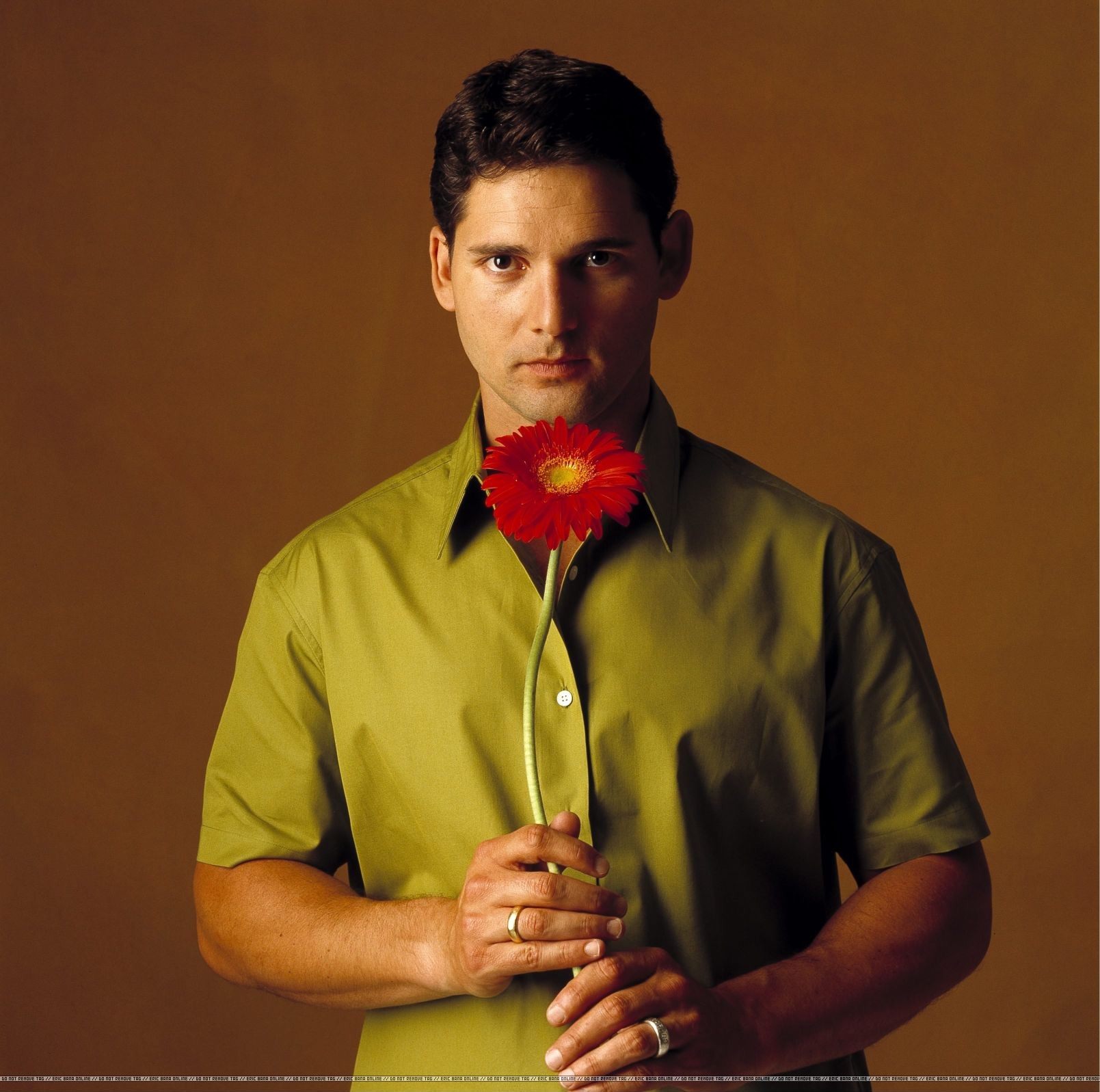 Eric Bana photo 1 of 214 pics, wallpaper photo 47496 ThePlace2