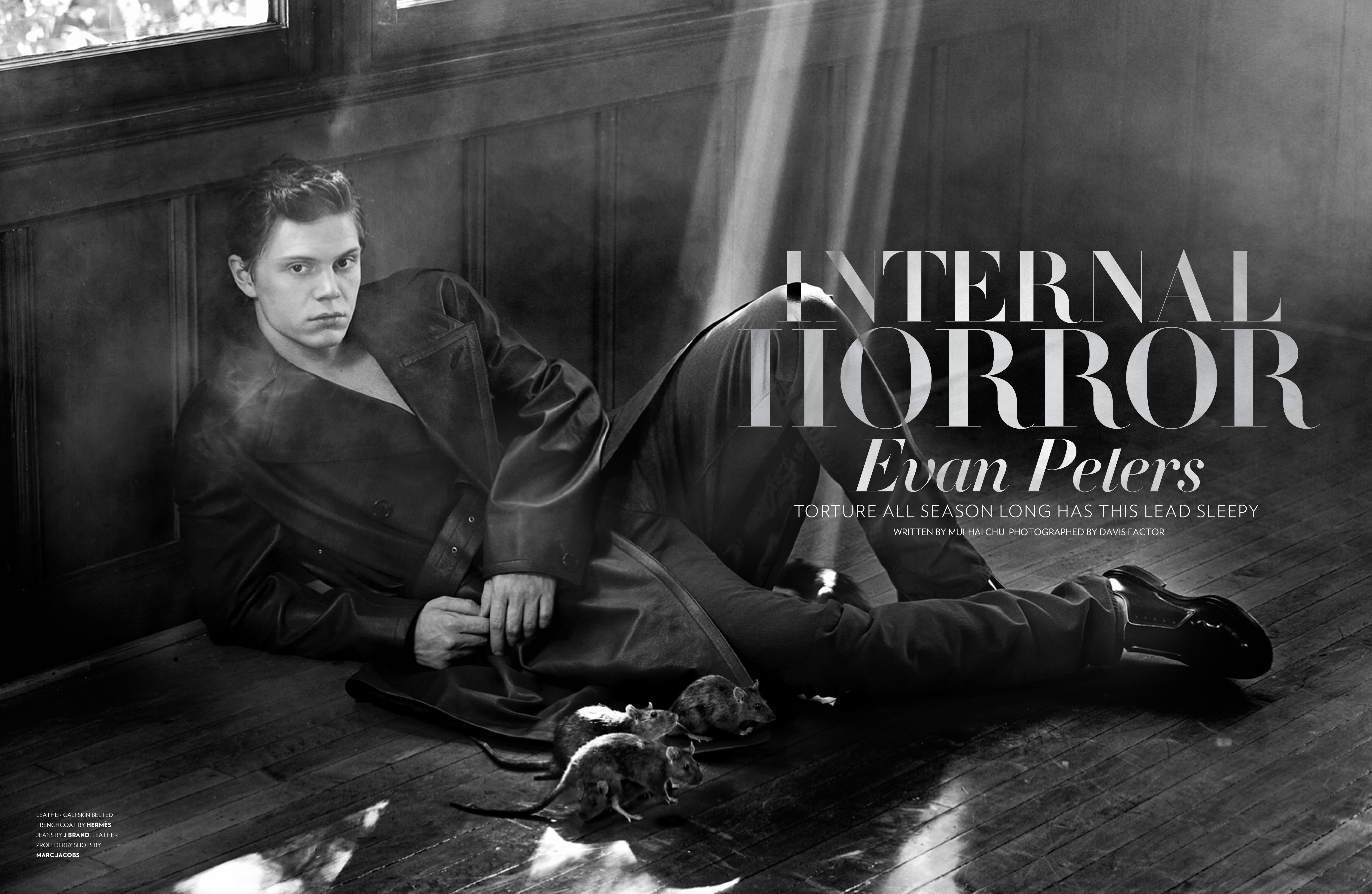 Evan Peters photo #711932.