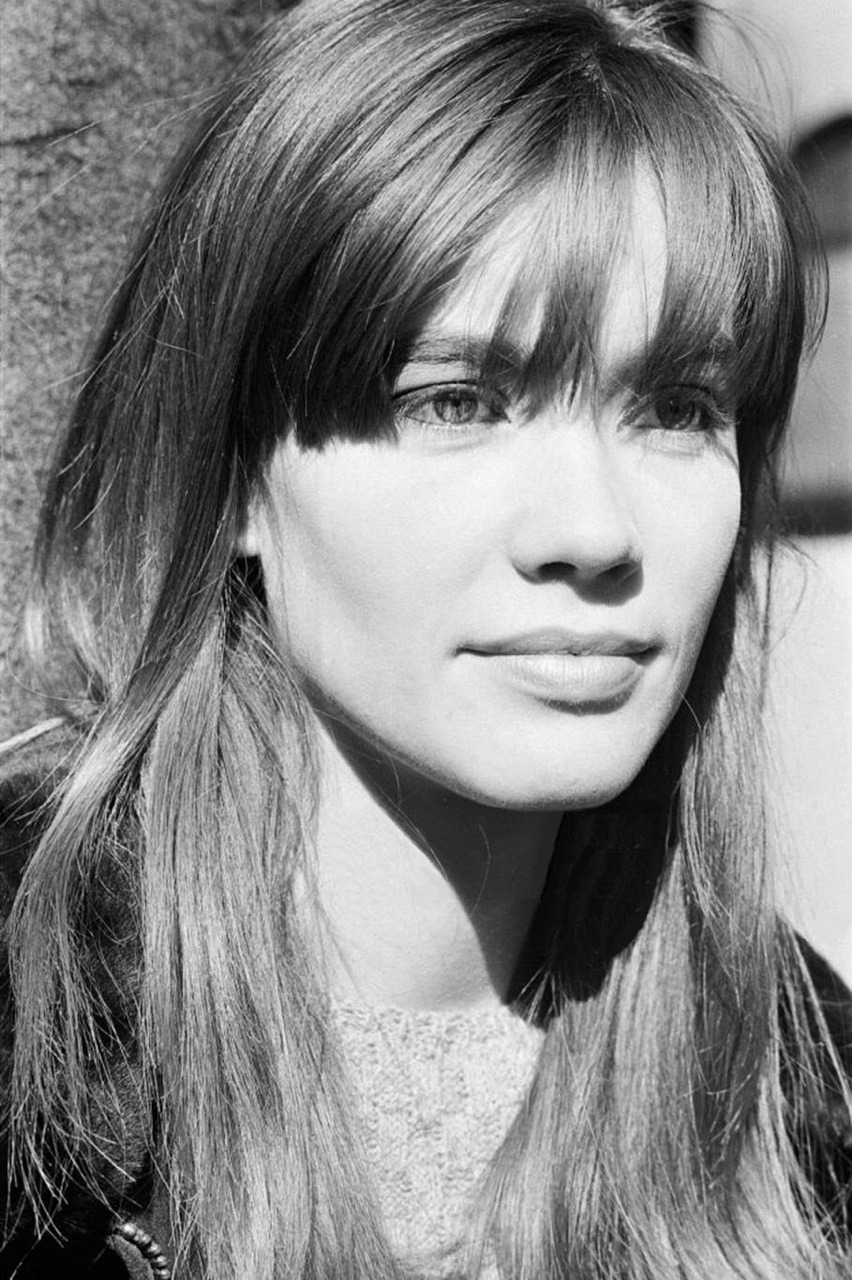 Francoise Hardy photo gallery - 17 high quality pics | ThePlace