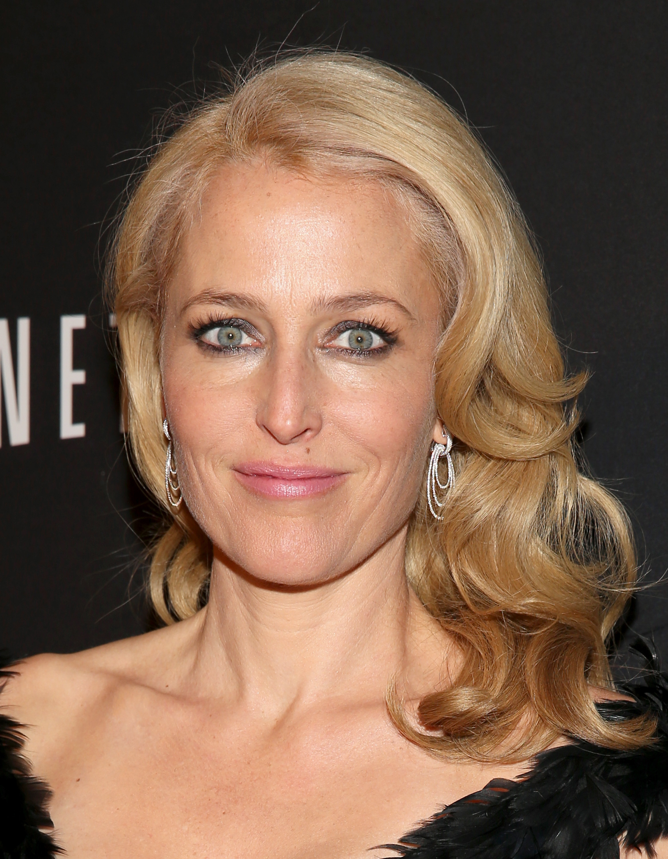 Gillian Anderson photo 356 of 547 pics, wallpaper - photo #662505 - ThePlace22335 x 3000