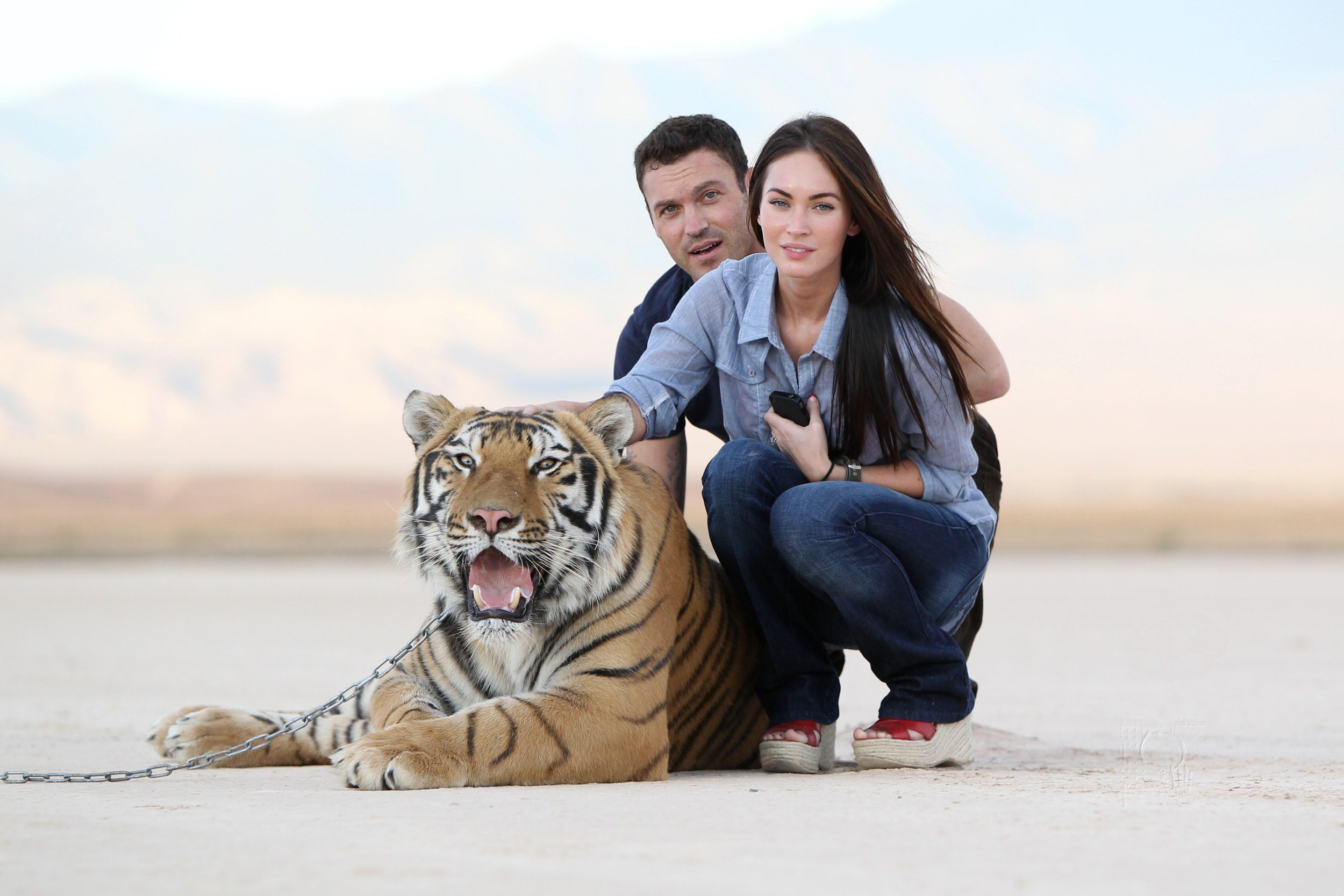 Мужчина тигр в браке. Тигр сидит рядом с человеком. В гостях у тигры. Тигр на цепи. Меган Фокс с животными.