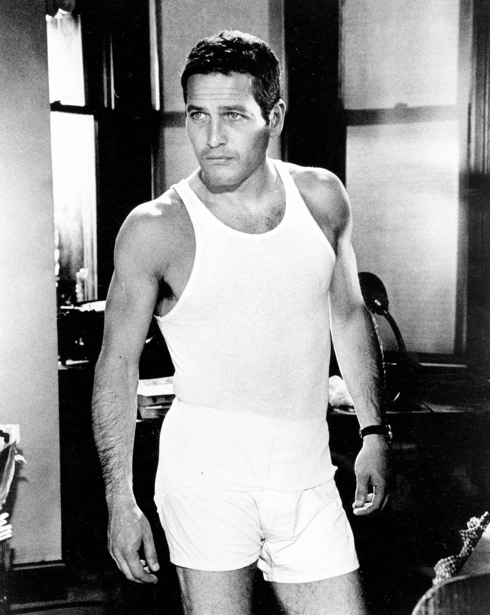 Paul Newman photo #244627.