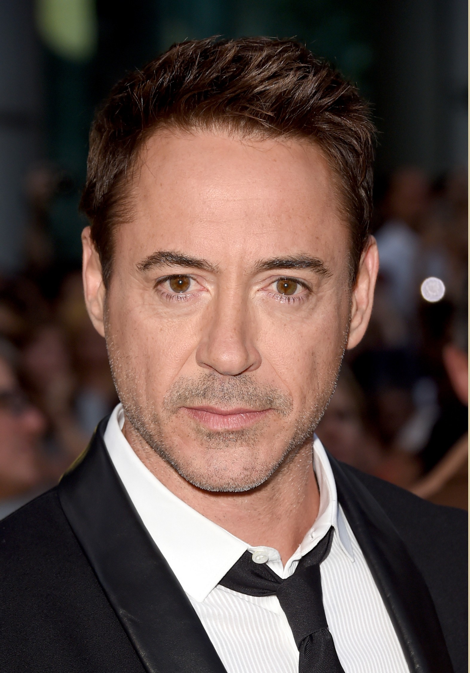 Robert Downey Jr. photo 504 of 884 pics, wallpaper photo 742989