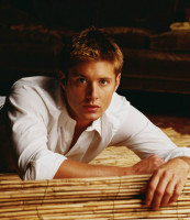 photo 14 in Jensen Ackles gallery [id91285] 2008-05-21