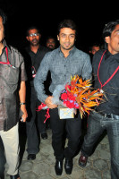 Suriya photo #