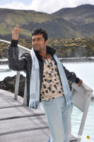 Suriya photo #