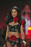 photo 16 in Adriana Lima gallery [id326119] 2011-01-11